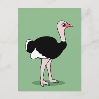 Cartoon Ostrich postcard