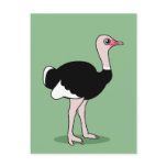 Cartoon Ostrich