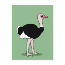 Cartoon Ostrich postcards
