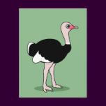 Cartoon Ostrich
