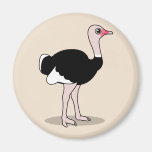 Cartoon Ostrich Refrigerator Magnets