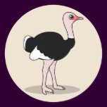 Cartoon Ostrich