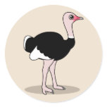 Cartoon Ostrich