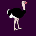 Cartoon Ostrich