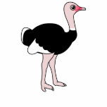 Cartoon Ostrich