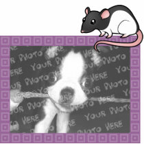 Cartoon Rat Photo Frame Photo Sculptures