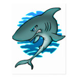 Cartoon Shark Postcards