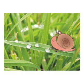 Cartoon Snail on Dewy Grass Photo Postcards