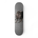 cartoon spider skate deck