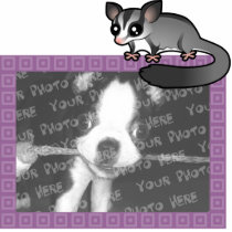 Cartoon Grey Sugar Glider Photo Frame