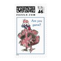 Cartoon Turkey Postage Stamps