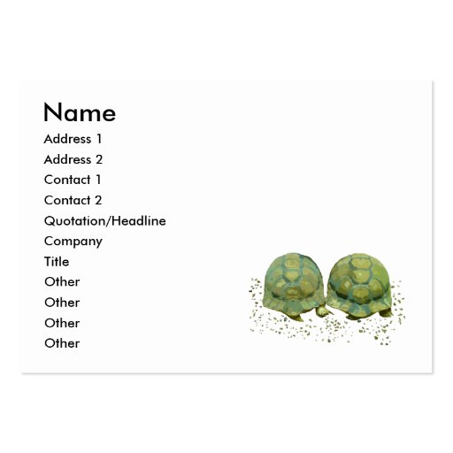 Cartoon Turtles Business Card (front side)