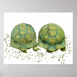Cartoon Turtles Canvas Print