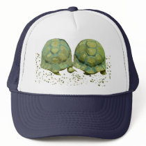 Cartoon Turtles Hat