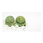 Cartoon Turtles Photo Card Cartoon Turtles Photo Card