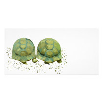Cartoon Turtles Photo Card