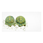 Cartoon Turtles Photo Card