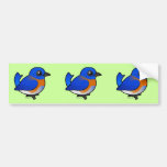 Western Bluebird Bumper Sticker