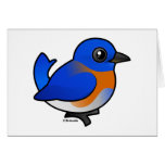 Western Bluebird Note Card
