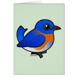 Western Bluebird Note Card