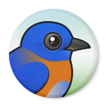 Western Bluebird Round Magnet