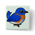 Western Bluebird Square Button