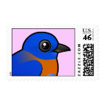 Western Bluebird Stamp