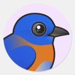 Western Bluebird Round Sticker