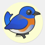 Western Bluebird Round Sticker