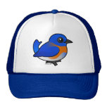 Western Bluebird Trucker Hat