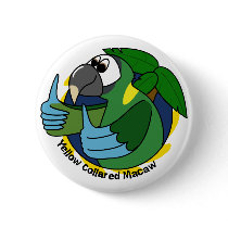 Cartoon Yellow Collared Macaw buttons