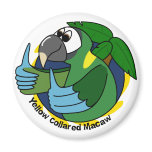 Cartoon Yellow Collared Macaw Refrigerator Magnets