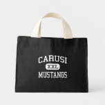 Carusi Mustangs