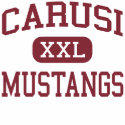 Carusi Mustangs