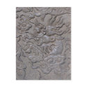 Carved dragon medallion postcards