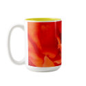Cary Grant mugs