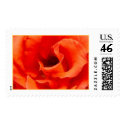 Cary Grant postage by annienbart Cary Grant postage