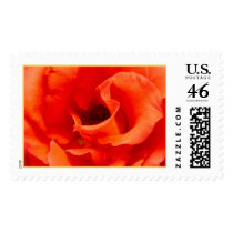 Cary Grant postage by annienbart Cary Grant postage