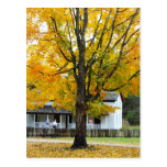 Casa del cable - ensenada de Cades - Great Smoky M Tarjeta Postal