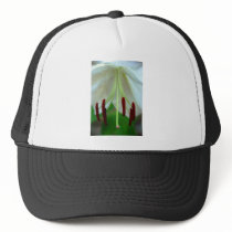 Casablanca Lily Mesh Hat