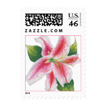 Casablanca Lily Postage stamps