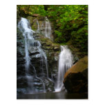 Cascada del norte de Adams Tarjetas Postales