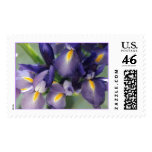 Cascade Iris Photo Stamp stamps