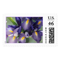 Cascade Iris Photo Stamp