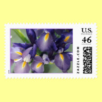 Cascade Iris Photo Stamp stamps