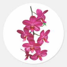 Cascade Magenta Orchids Round Sticker