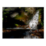CASCADE. POOL. FALLS. Meditation-a way of looking Postcards