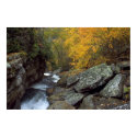 Cascade    Print