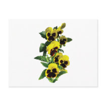 Cascade Yellow Pansies postcards