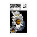 Cascading Daisy postage by elsamsantoro Cascading Daisy postage